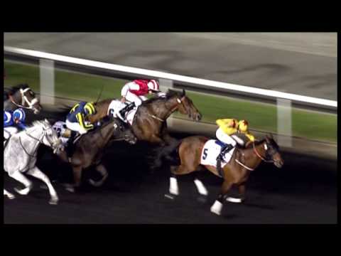 30.03.2013 Meydan (Dubai-UAE) 6.Race Dubai Golden Shaheen 2013 - Group I 1.200 m