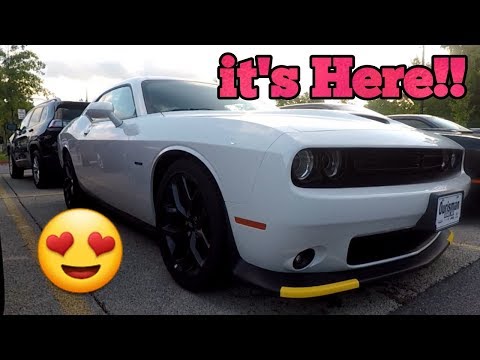 2019 Dodge Challenger RT/Plus 2019 Dodge Challenger RT/Plus