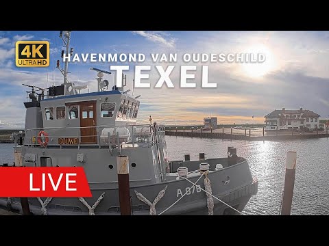 Oudeschild Harbour Mouth live cam preview