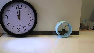 A power-autonomous self-rolling wheel with artificial muscles