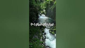 قراءة سورة الرحمن من الآية 1 إلى الآية 78