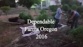 Dependable Farms Oregon August 2016 OMMP GROW