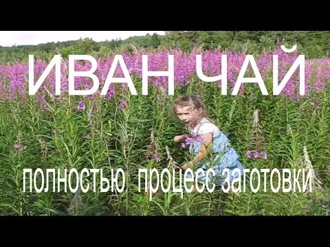 Видео: Учените са показали как се движи езикът по време на разговор