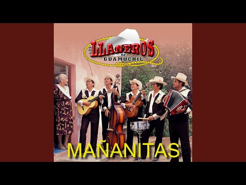 Los Llaneros de Guamuchil - Las Mañanitas