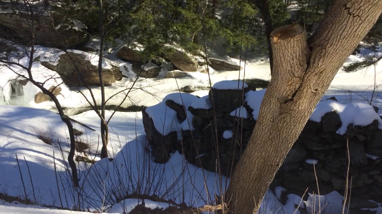 Pollard Mills at the south branch of the Sugar River 18 foot falls
