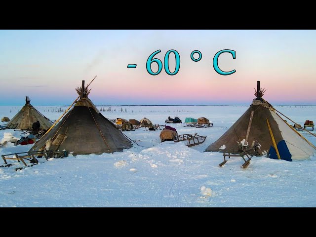North Nomads life in winter. Ural mountains and tundra life. Russia. Full film. class=