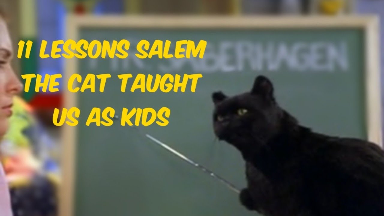 11 Lessons Salem the Cat taught us as Kids - YouTube