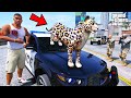 Franklin Trying to Catch a Hungry Cheetah in GTA 5 | SHINCHAN and CHOP