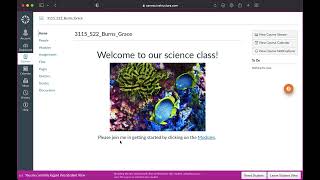 Canvas Course Navigation Tutorial EDUC 3115
