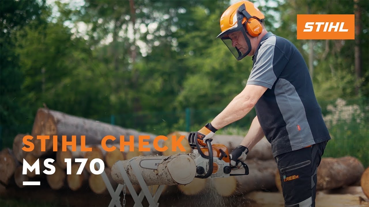 Stihl MS 170 (35 cm) ab € 189,00