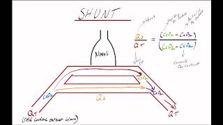 Shunt fraction, Isoshunt graph and how shunt affects oxygenation and carbon dioxide