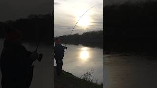 Download Lagu Faerietale of Newark the best hr in the history of angling #a360shorts #barbelfishing #riverfishing MP3