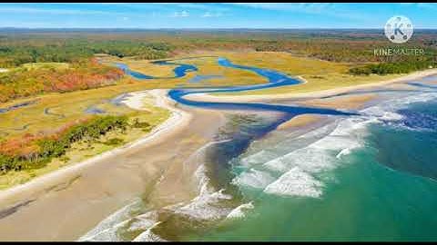 MLZS JHANSI CLASS 6 Science Chapter 9 Lecture 2