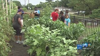 Taking Back the Community: From the Street to the Garden