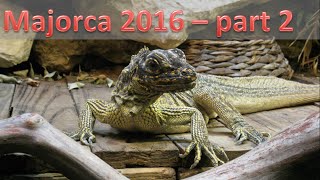 Visiting a Reptile Zoo! | Majorca (part 2)