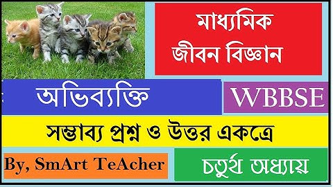 Class X Life Science | জীবন বিজ্ঞান |অভিব্যাক্তি | প্রশ্ন উত্তর একত্রে |chapter – 4|by Smart Teacher