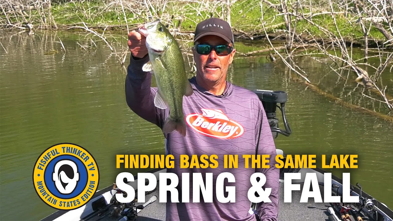 Bass…Spring Vs Fall location (bass fishing)