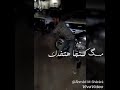 ملگ الشاارع رقص على مهرجان البانتي البنبى جااامد فششخ 