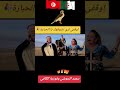 تعاون كبير بين سعيد النموشي وفوزية الكافية تونس والجزائر