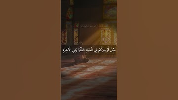 تلاوة جميلة هادئة - سورة فصلت - الشيخ ناصر القطامي