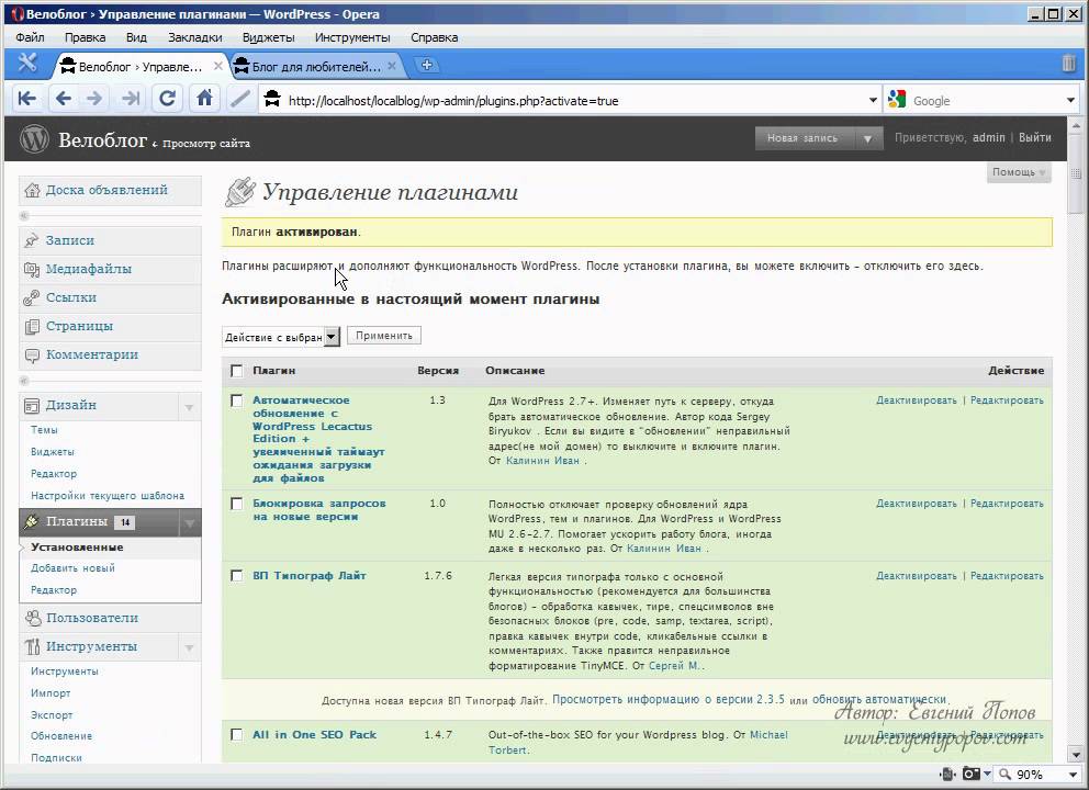 Евгений Попов. Как настроить плагин All in one seo pack на wordpress