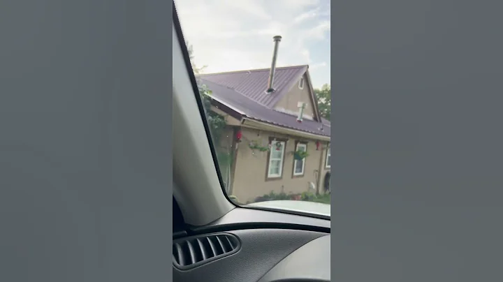 Horse Fly Attack