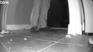  Scummiest landlord gets caught illegally entering suite, cops called, kicks camera