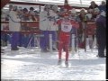 Skid-VM 1993 - Falun - 50 km (1 av 2)