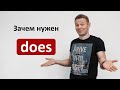 Зачем нужен "does" ? Уроки английского языка с Константином Ганушевичем