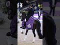 Call it love #subscribe #youtube #beauty #youtubeshorts #beautiful #pet #music #equine #ytshorts #eq