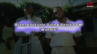 Download Lagu Bien, Adekunle Gold \u0026 Shine TTW - Wahala Karaoke (Ugandan Karaoke Song with Lyrics) MP3