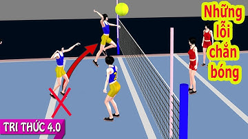 Tri Thức 4.0 | Luật Bóng Chuyền Hơi - Những Tình Huống Chắn Bóng Gây Tranh Cãi