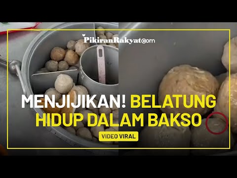 Viral Buat Netizen Jijik, Ulat Belatung Hidup Ditemukan di Dalam Bakso: Itu dari Mana Padahal Panas