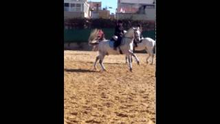 Hotelero Iv Flying Changes Of Leg