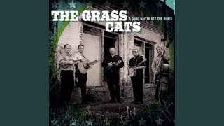Video thumbnail of "The Grass Cats - Life Of the Blues"