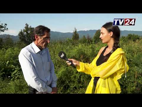 ბიზნესის დრო - ჩაის ქარხანა \"მზიანი\"