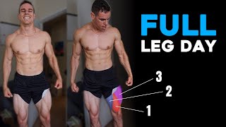 FULL Leg Workout | Day 26