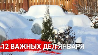 12 важных дел января