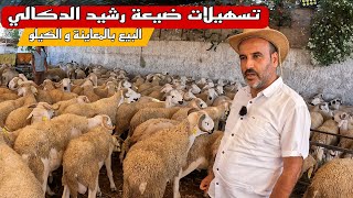 كبش العيد من ضيعة رشيد الدكالي البيع بالمعاينة و الكيلو مع ذكر ثمن البيع