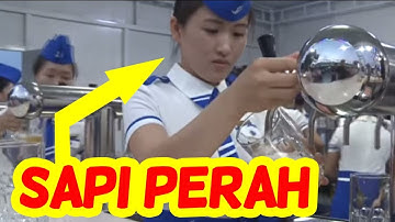 Sapi Perah Kim Jong Un! Begini 9 Potret Miris Wanita di Korea Utara | North Korea News