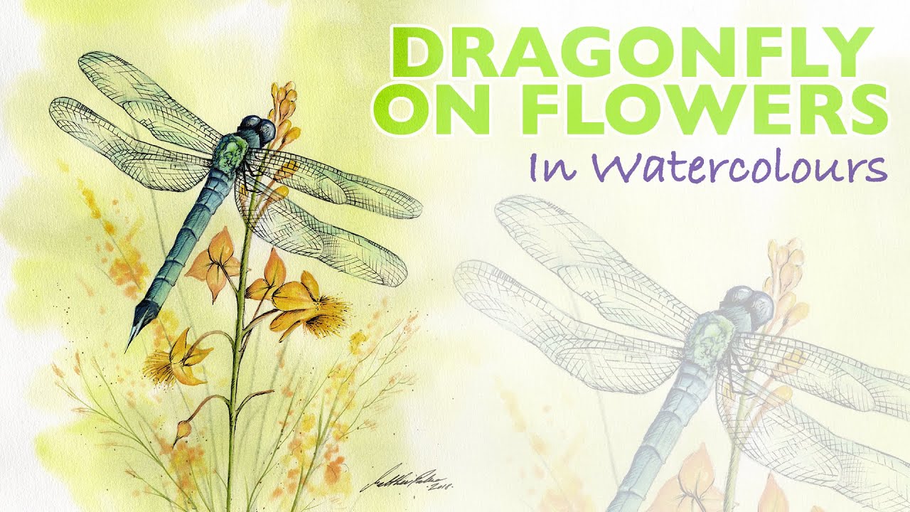 How To Paint a Dragonfly On Flowers in Watercolour