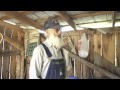 Making Sweet Sorghum Syrup