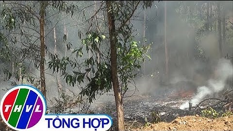 THVL | Liên tiếp cháy rừng ở Quảng Ngãi, thêm một người tử vong