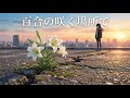 ノートンビート Cover MV「百合の咲く場所で/Dragon Ash」Norton Beat【Cover】