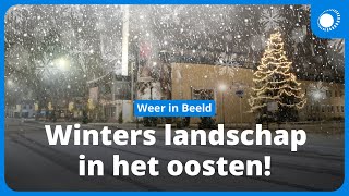 Een winter wonderland in het oosten van Nederland! screenshot 3