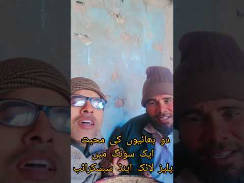Do Bhaiyon Ki Mohabbat aik Song mei | BJ Shorts