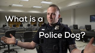 What Is A Police Dog?