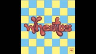 Vignette de la vidéo "Fair Weather Friend ~ Wheatus"