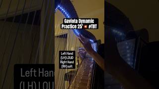 Gaviota Dynamic Practice 25’💥 #tbt