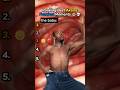 Ranking Best Akamz Funniest Moments (He's So Funny 🤣😭) #ranking #funny #moments